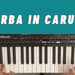 sarba in caruta tutorial intermediari