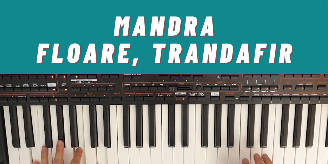 mandra floare trandafir tutorial incepatori