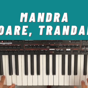 mandra floare trandafir tutorial incepatori